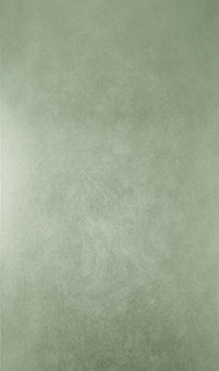 w6303-01.jpg