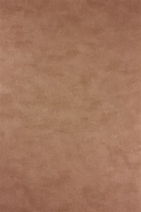 w6902-01.jpg