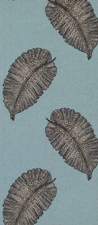 w7218-01_1.jpg