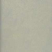 w7555-04.jpg