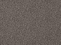 7732-10.jpg