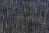 cosimo-302.jpg