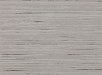 zw100-03.jpg