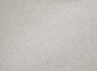 zw121-02.jpg