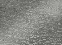 zw123-05.jpg
