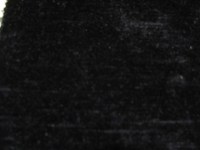 casal_12144_0.jpg