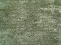 casal_12144_34.jpg
