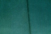 12157_14_N.jpg
