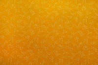 12861_42_N.jpg