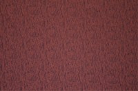 casal_13438-75.jpg