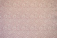 13457-80.jpg