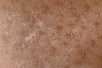 13484_25_N.jpg
