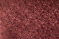 13484_75_N.jpg