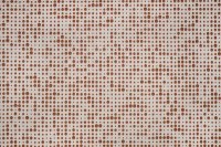 13516_26_N.jpg