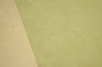 casal_17810-3076.jpg