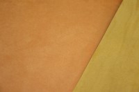 casal_17810-4542.jpg