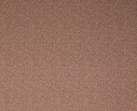 casal_30367_50.jpg