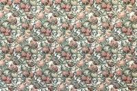3144_6507_N.jpg