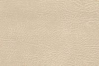 casal_5098-74.jpg