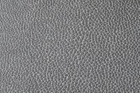 casal_5129-62.jpg