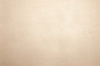 casal_5132-73.jpg