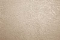 casal_5132-74.jpg