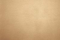 casal_5132-76.jpg