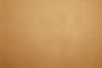 casal_5132-79.jpg