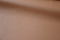 5233-51.jpg