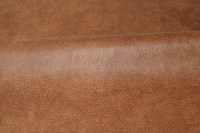 5236-50.jpg
