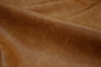 5237-54.jpg
