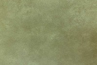 5253_31_N.jpg
