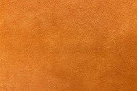 5253_45_N.jpg