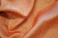 casal_54031-48.jpg
