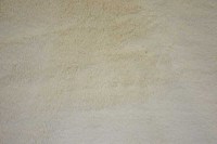 8009_72_N.jpg