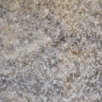 LM19554_50_N.jpg