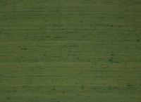 designers_guild_f1165-152.jpg