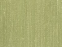 designers_guild_f1165-19.jpg