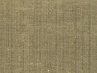 designers_guild_f1165-59.jpg