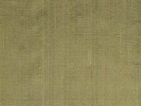 designers_guild_f1165-60.jpg