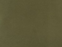 designers_guild_f1505-01.jpg