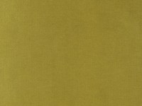 designers_guild_f1505-09.jpg