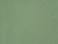 designers_guild_f1505-25.jpg
