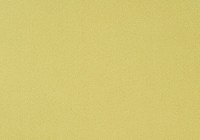 designers_guild_f1650-21.jpg