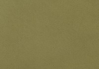designers_guild_f1650-25.jpg