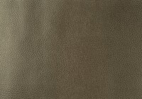 designers_guild_f1676-08.jpg