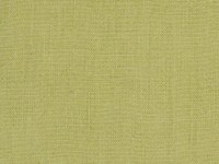 designers_guild_f1723-25.jpg