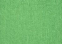 designers_guild_f1723-50.jpg