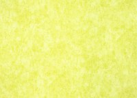 designers_guild_f1794-10.jpg