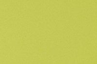 designers_guild_f1798-26.jpg